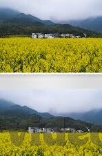 果冻传媒麻豆独播旗袍-探索果冻传媒与麻豆独播,旗袍下的文化韵味与现代演绎